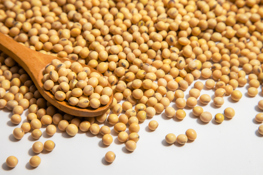 エクオールを作れない人の特徴|作れるのは2人に1人?自宅で検査できる?